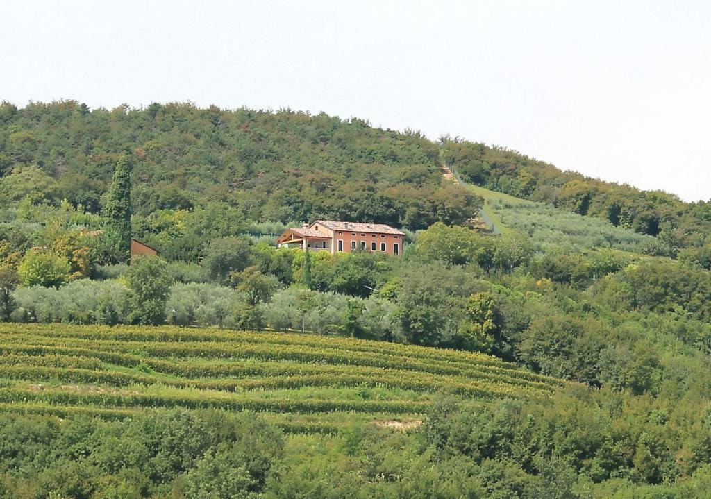 Ca' Dei Coci B&B - View 7
