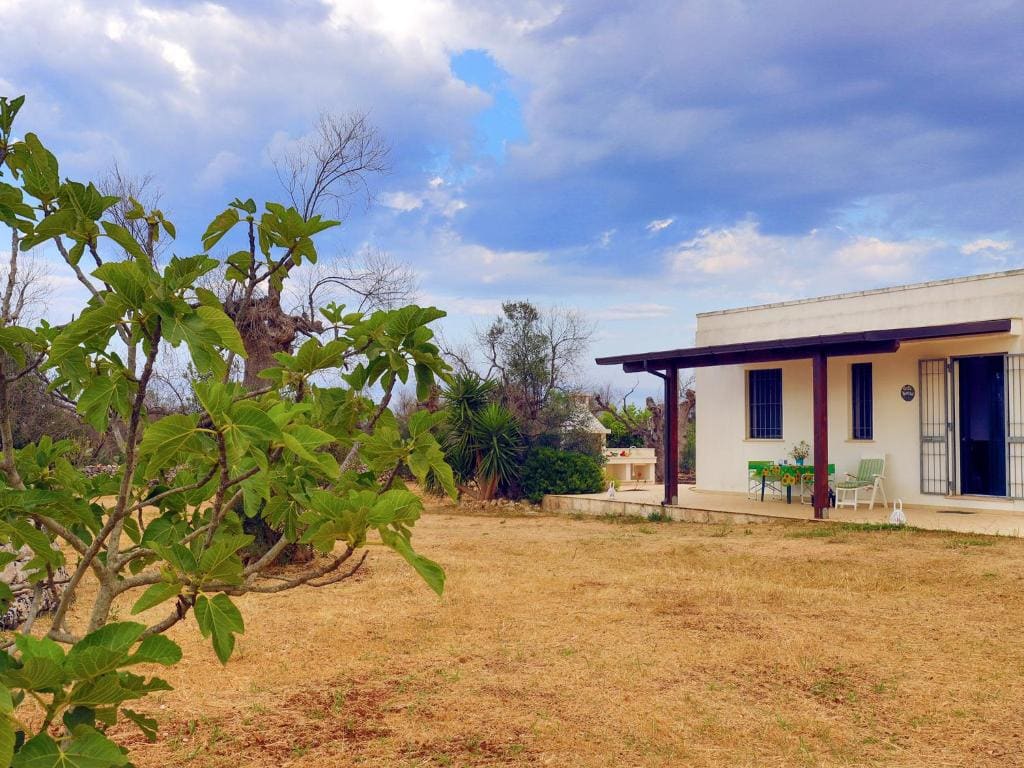 Casa Barzò - surrounded by olive trees - View 2