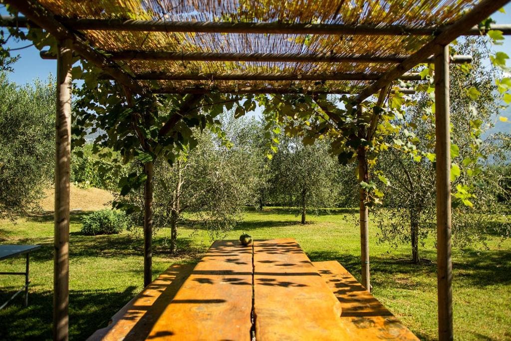 Agriturismo Casa di Campagna - View 6