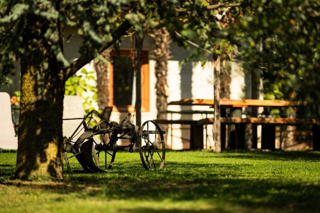Agriturismo Casa di Campagna - View 3