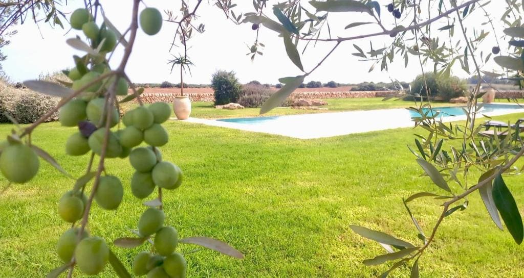 Casa Vendicari Boutique Hotel — Hauptbild