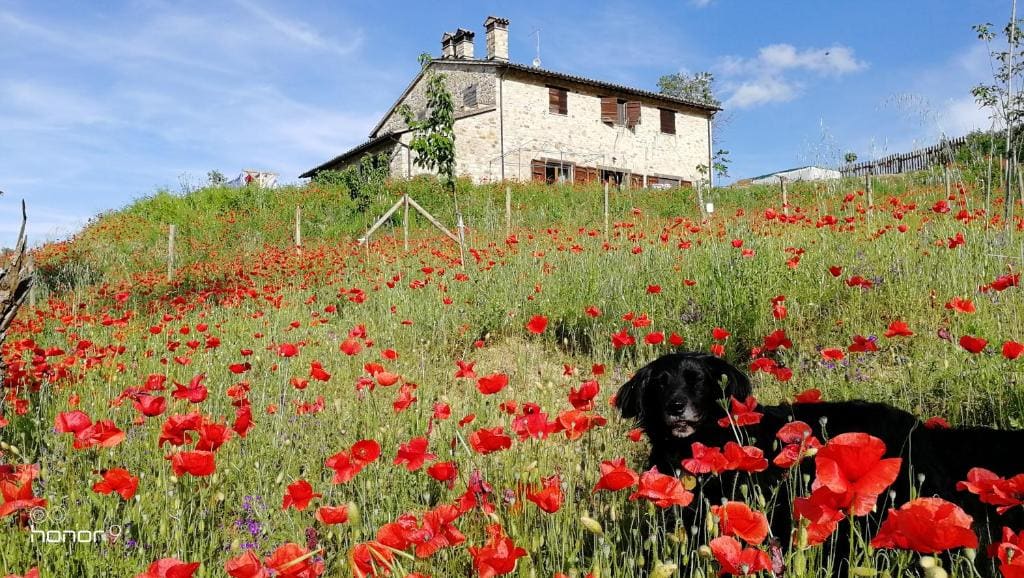 Casale Le Orme - View 4