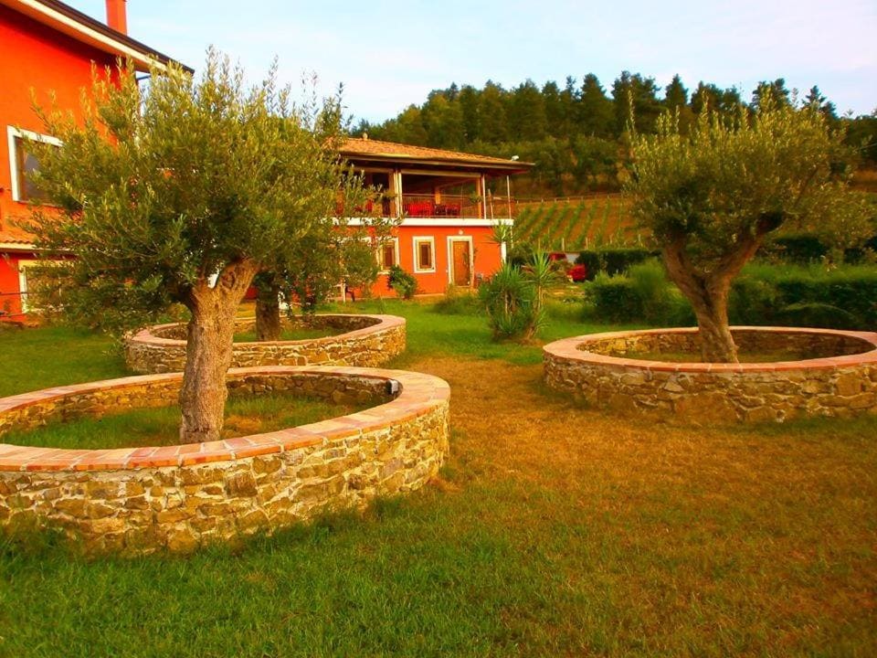 U' Cecere Agriturismo - View 5