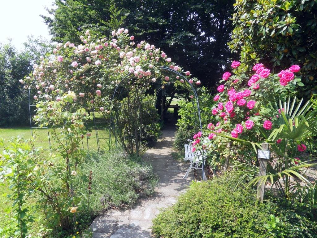 Cuore Verde - View 7