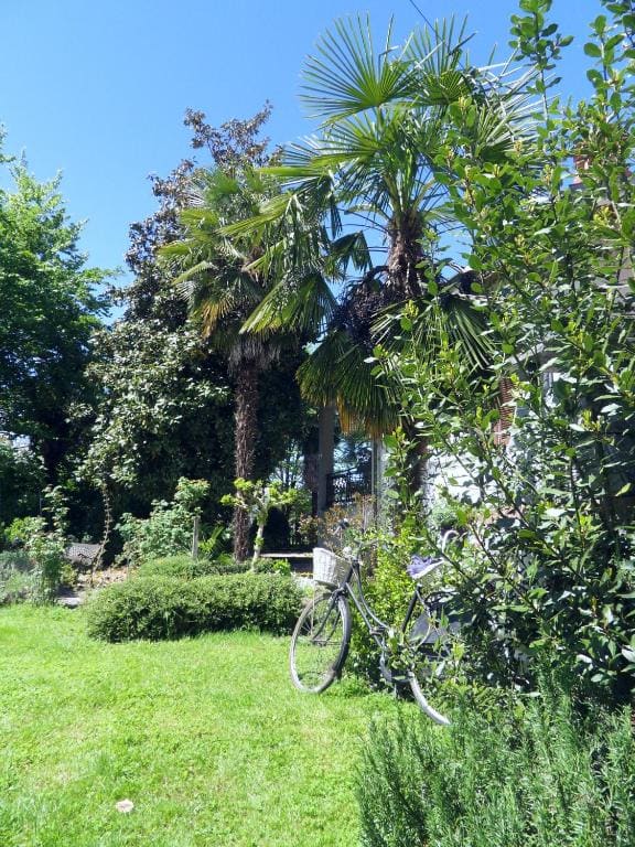 Cuore Verde - View 5