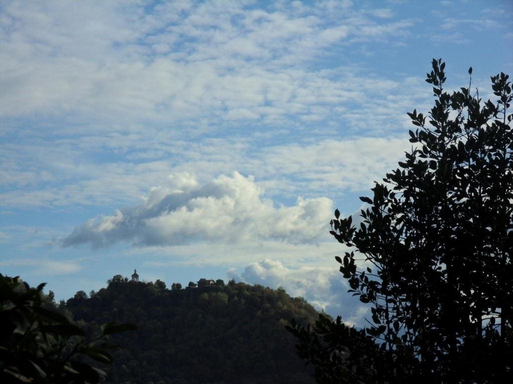 Cuore Verde - View 2