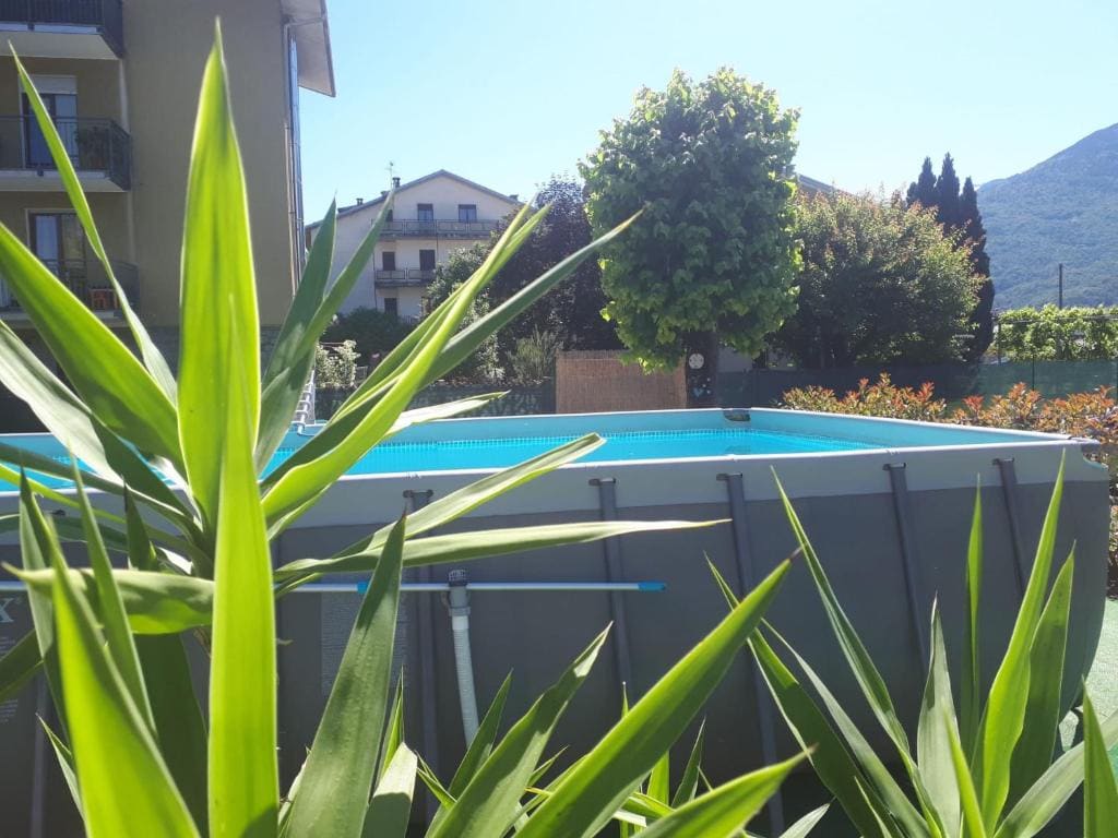 Cuorematto - View 4
