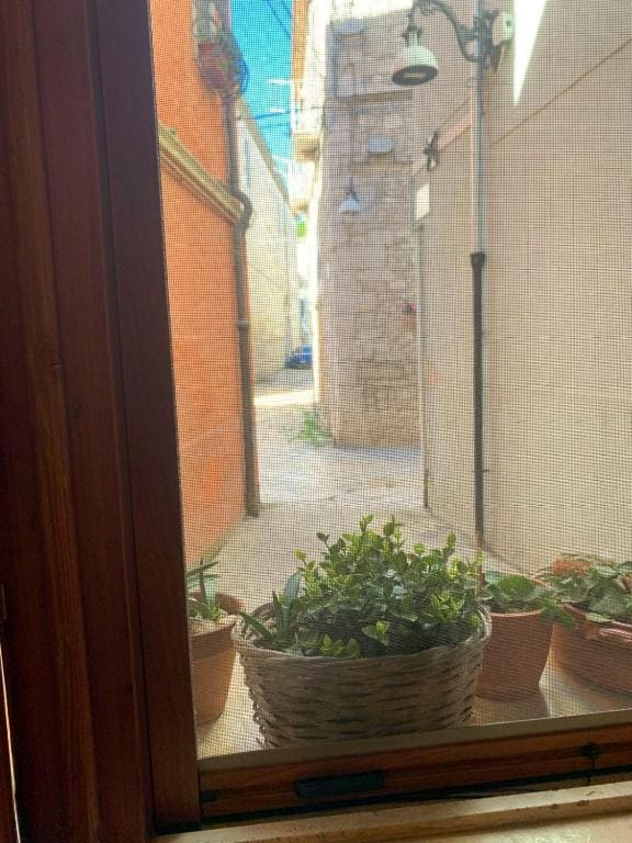 Da Minguccio - View 6