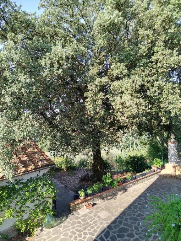 Da Poldino - View 7