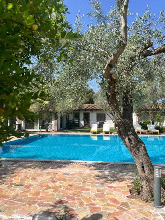 Da Renzo - Main view
