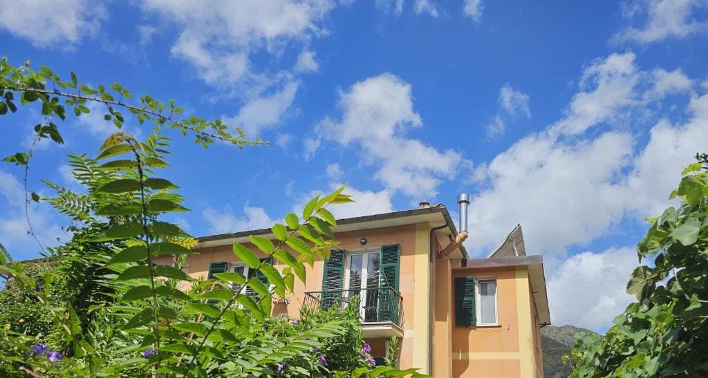 Emilio House - Main view