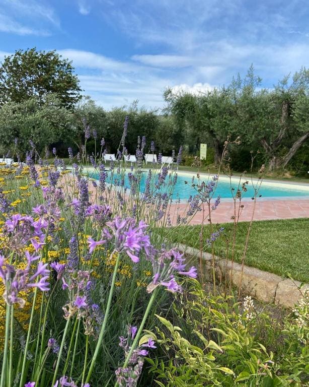 GLAMPING SUITE IL GRILLO - View 2