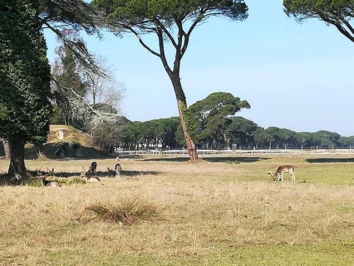 I Levrieri Rooms - View 3