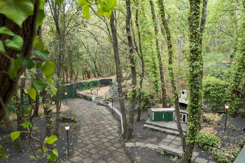 I Marchesi dell'Etna - View 6