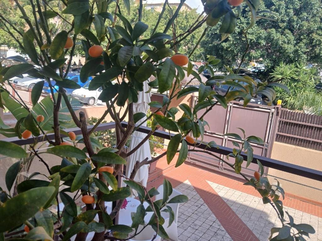 I Segreti della Valle - View 7