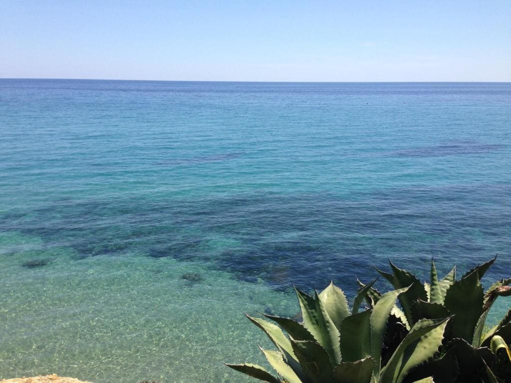 Hotel Ideal - View 6