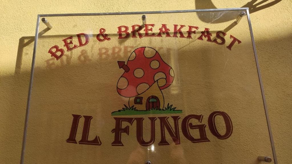 Il Fungo - Main view
