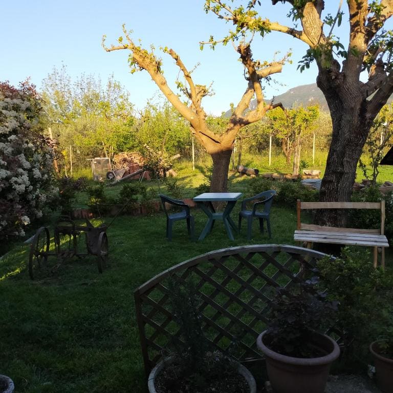 B&B il giardino di Eolo - View 6