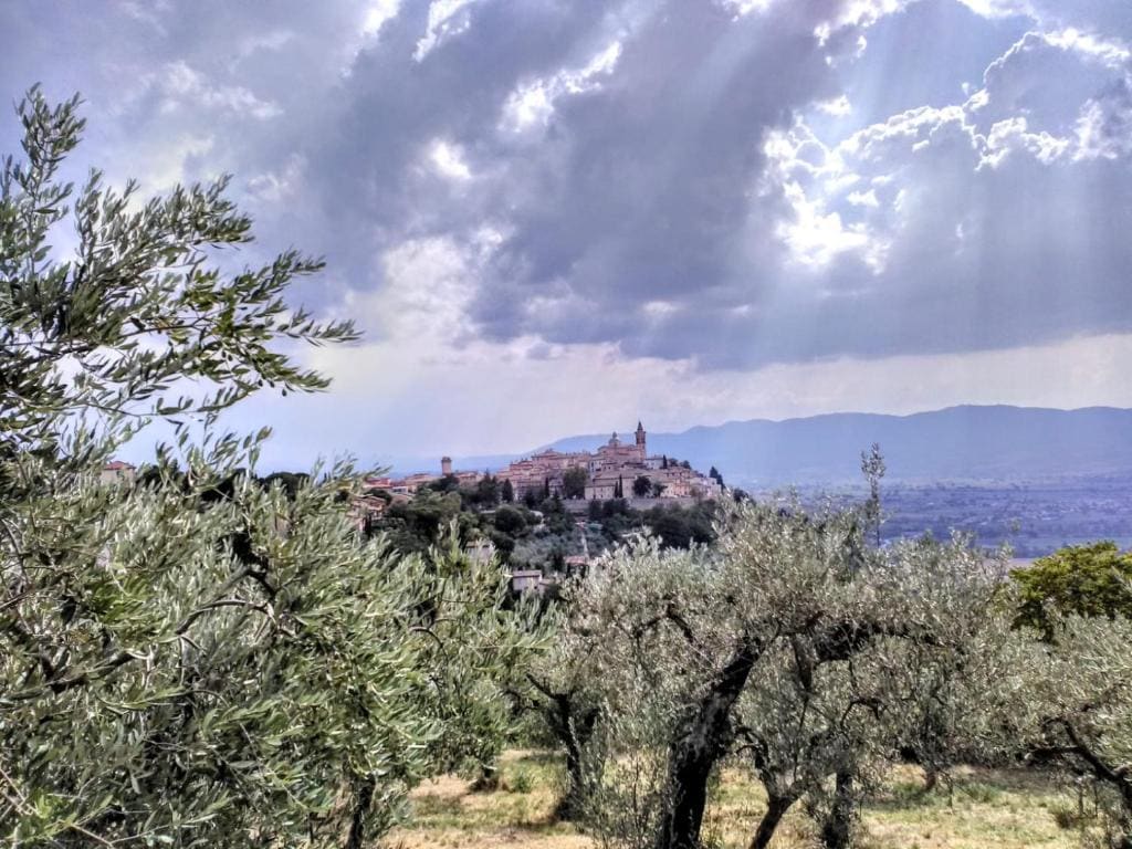 Il Panorama di Trevi - View 6