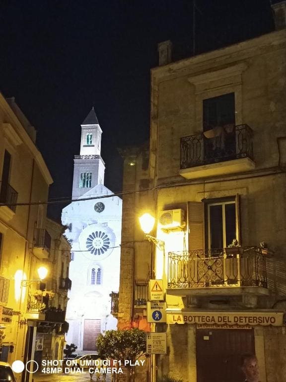 Il Pavone - View 5