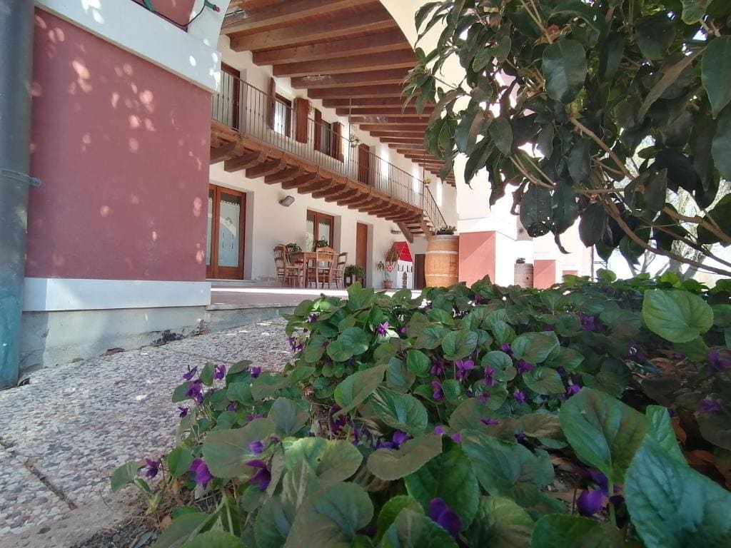 Agriturismo Il Salice Ridente - View 5