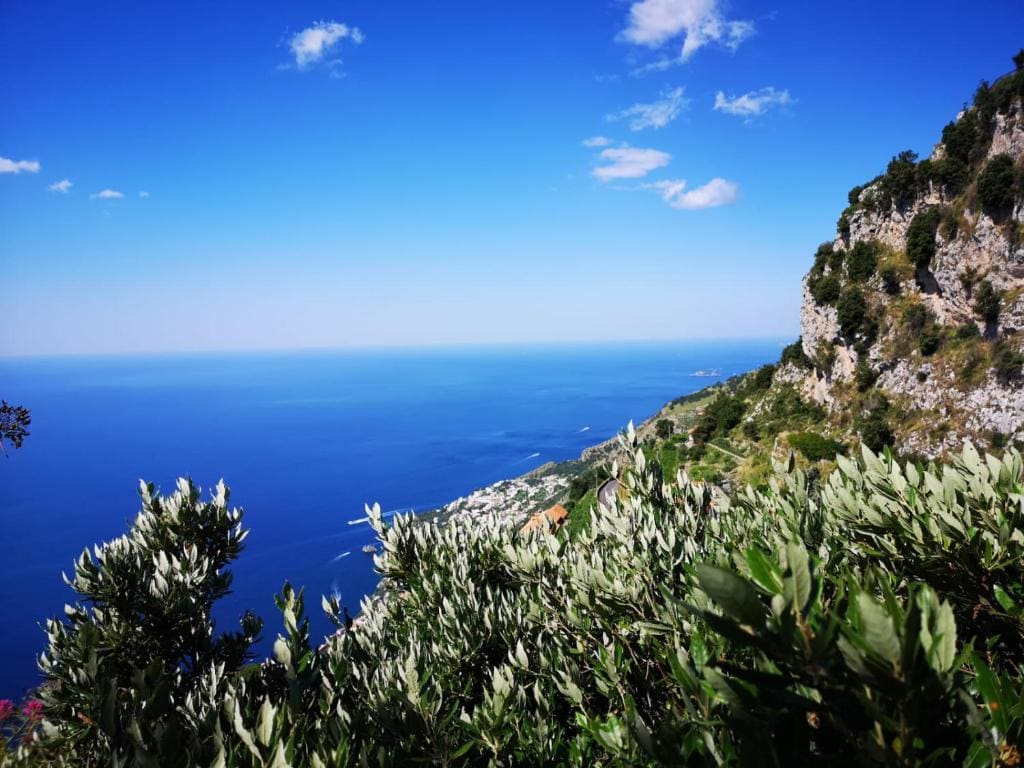 La Cascina Camere - View 5