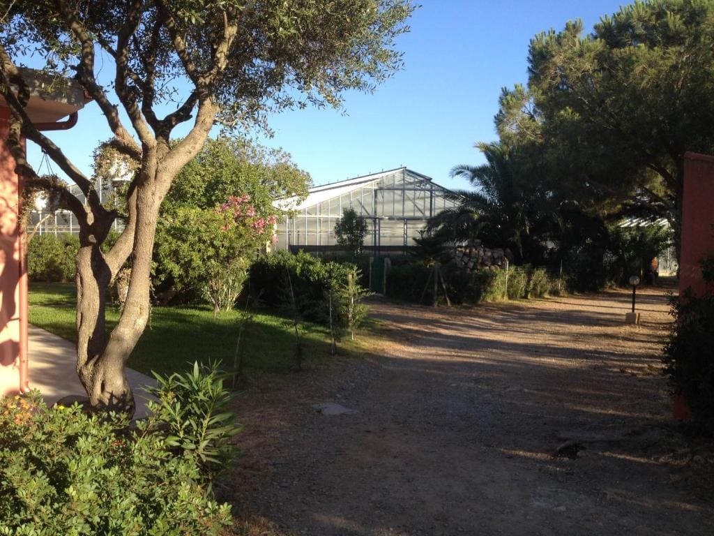 La Contea - View 5