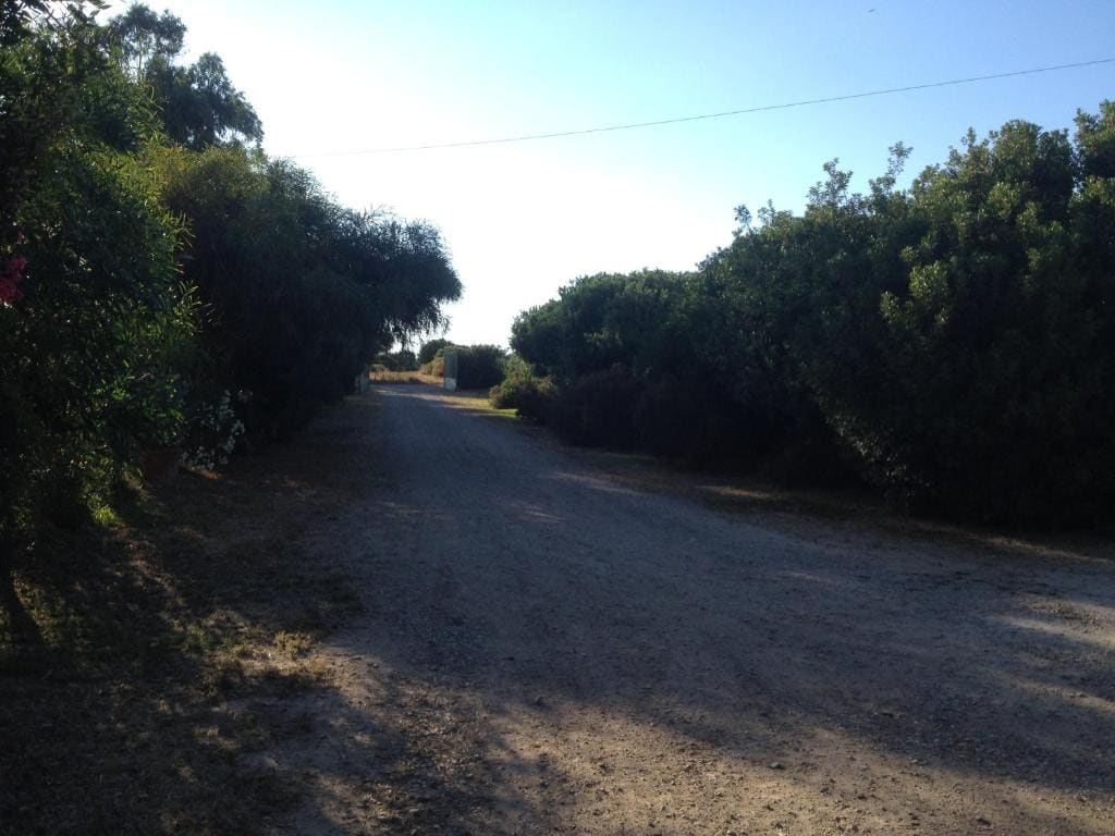 La Contea - View 6
