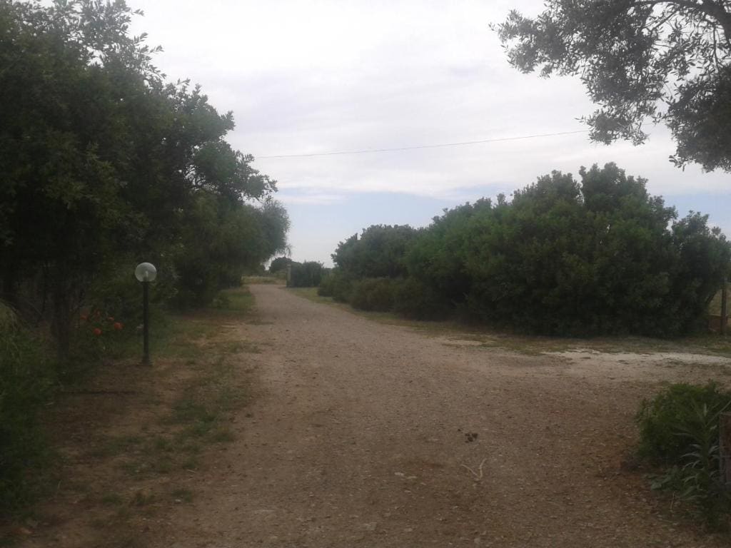 La Contea - View 2