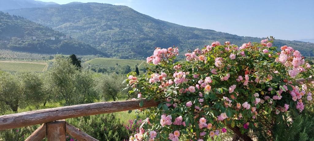La Fornella dell'Anita - Main view