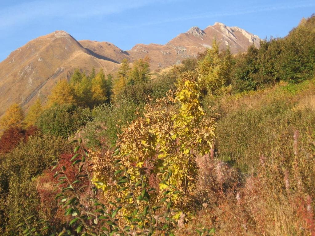Baita La Jolie Bergere - Vista 5