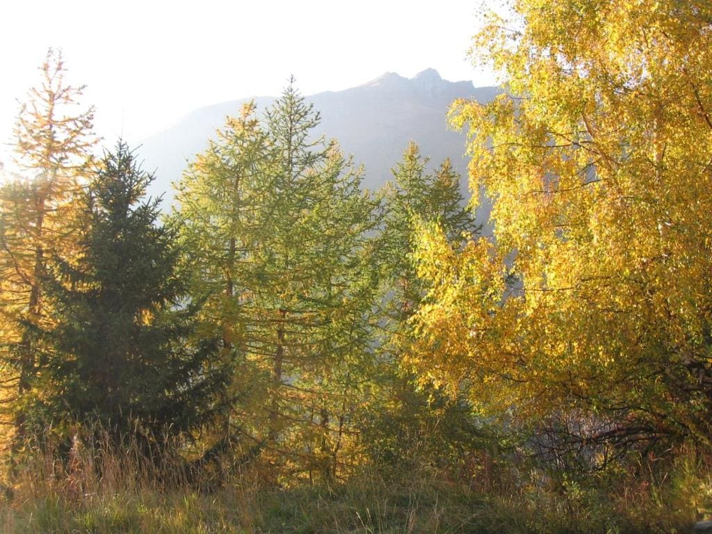 Baita La Jolie Bergere - Vista 4