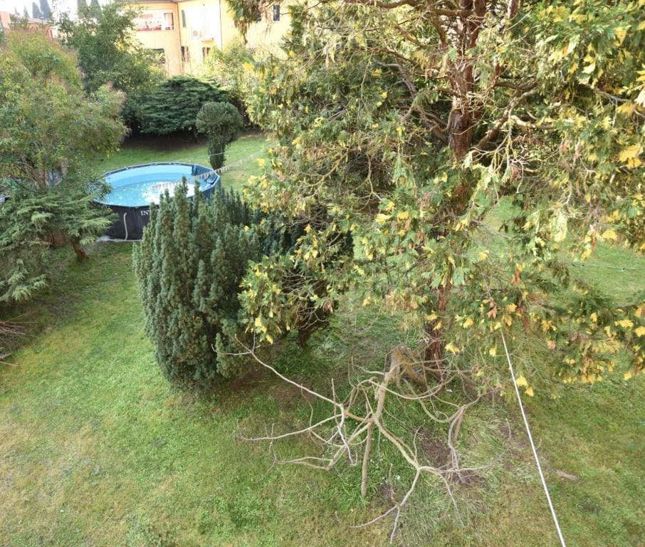 VILLA La Pineta di Sinalunga Montepulciano Val D'Orcia - View 5