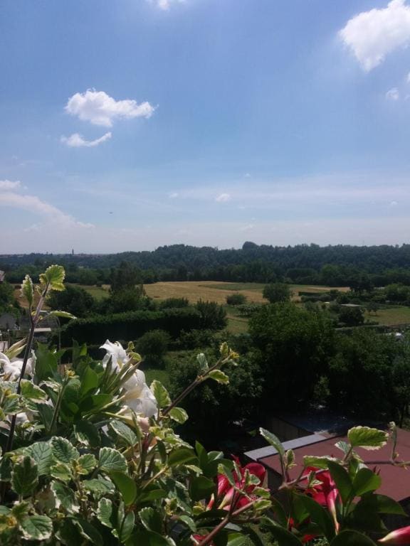 Le vigne sull’Adda - Main view