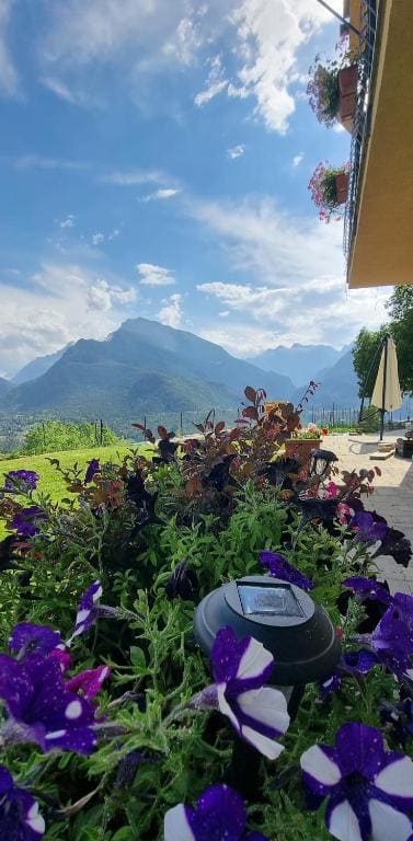 Lo Noyer et les Roses - View 5
