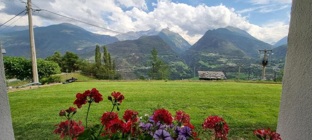 Lo Noyer et les Roses - View 6