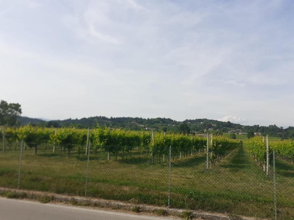 Locazione turistica da Toio - View 7