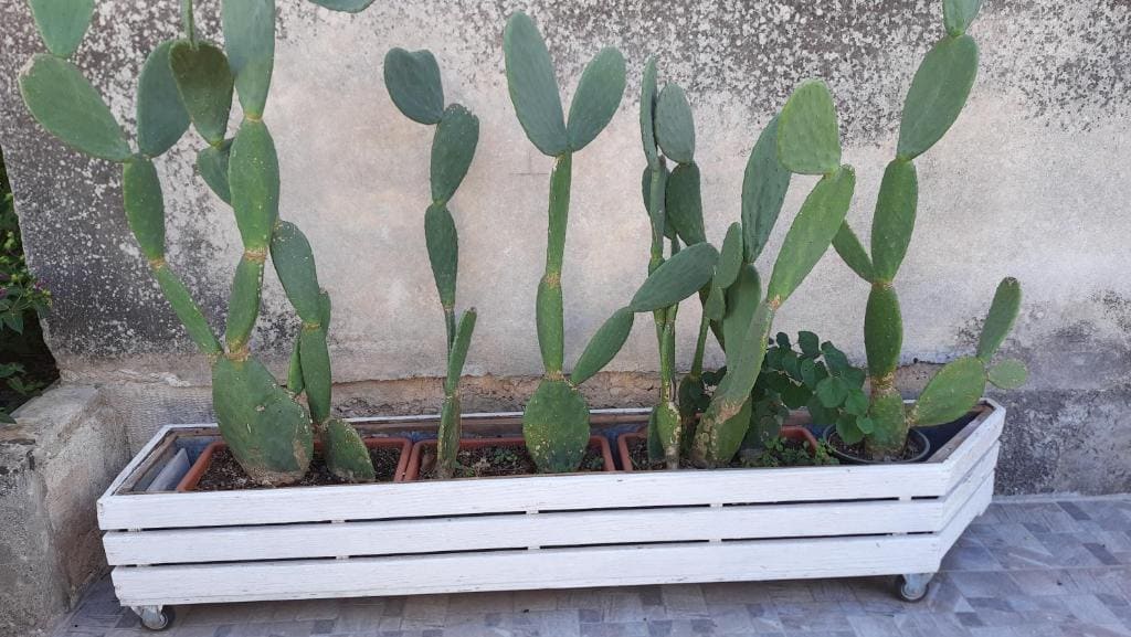 A'MA CASA - View 5