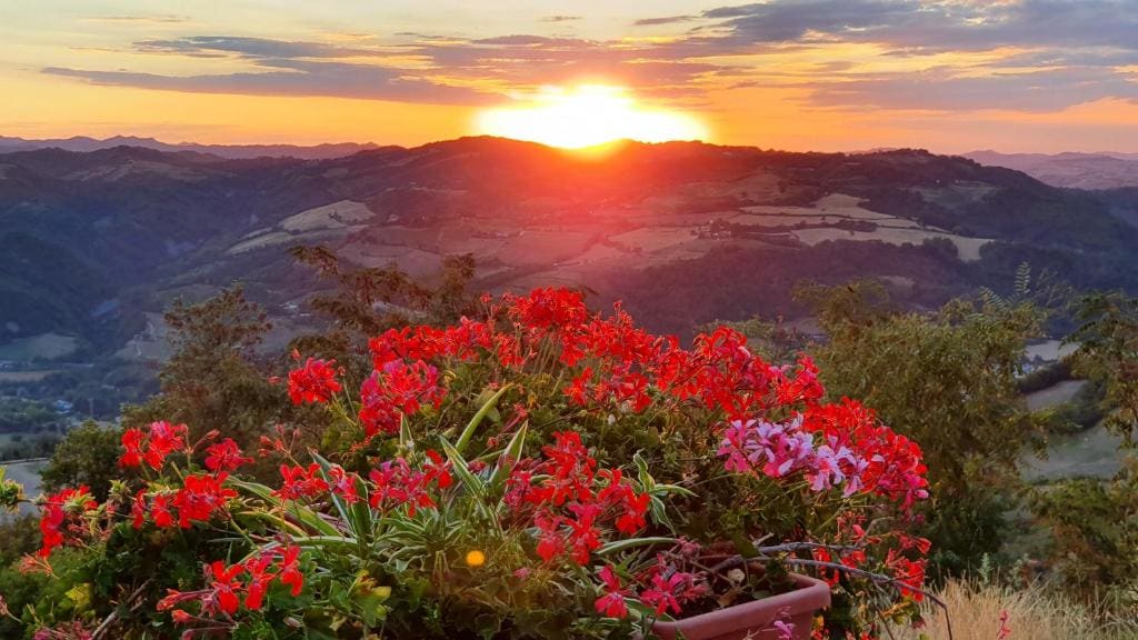 B&B Marcantonio Country House - View 6