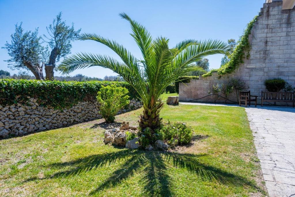 Agriturismo Masseria del Bosco Makyva - Vista 2