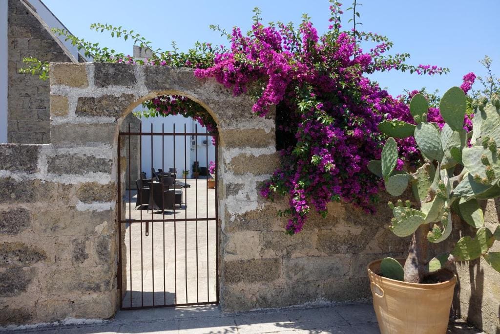 Masseria Carignani - व्यू 5