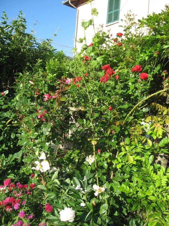 Lago Secco Bed & Breakfast Country House - View 4