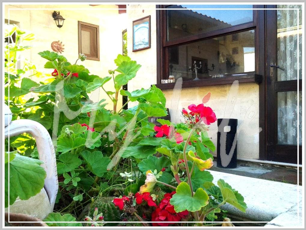 MyLife B&B Country House - व्यू 6