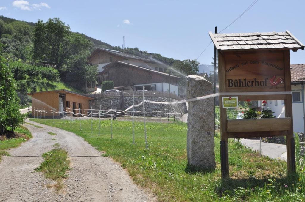 BUEHLERHOF Urlaub mit Kind & Hund, Obst-& Weingut, Brixen - View 5