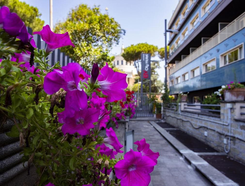 BV Hotel Oly - Main view