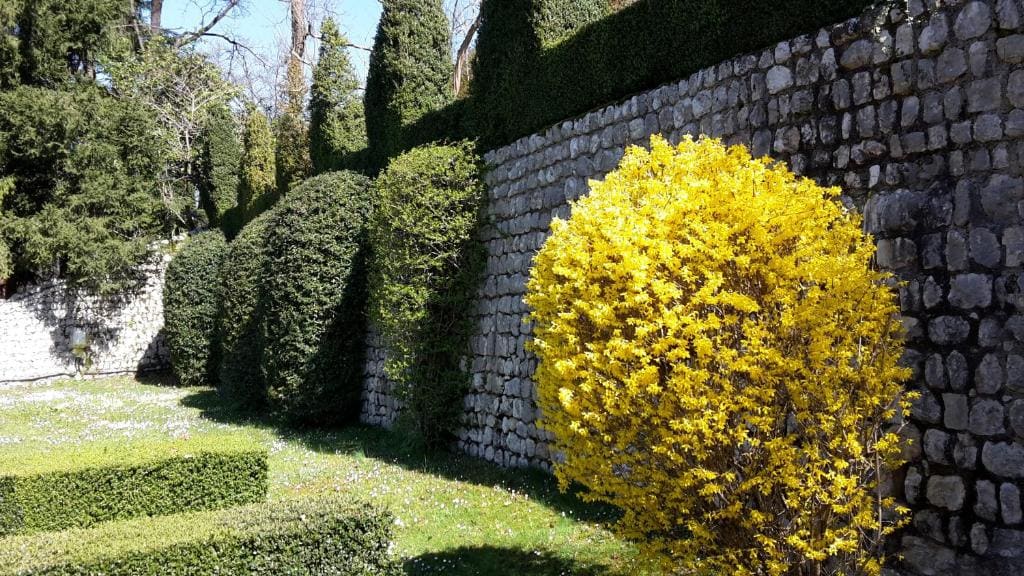 B&B Palazzo Scolari - View 5