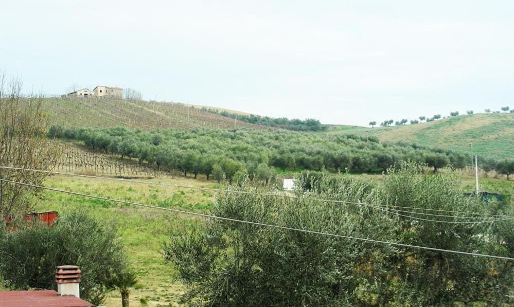 Pier Delle Vigne B&B - View 3