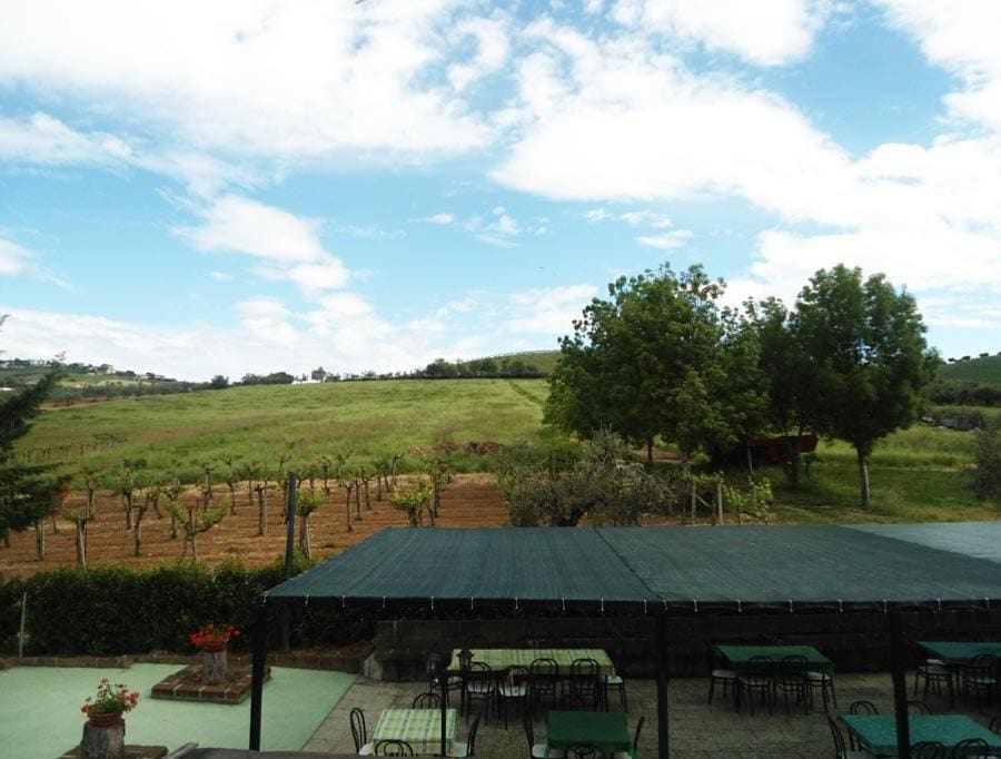 Pier Delle Vigne B&B - View 5
