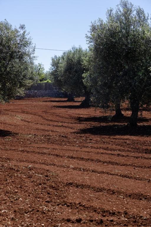 Pietra Pesara - View 6
