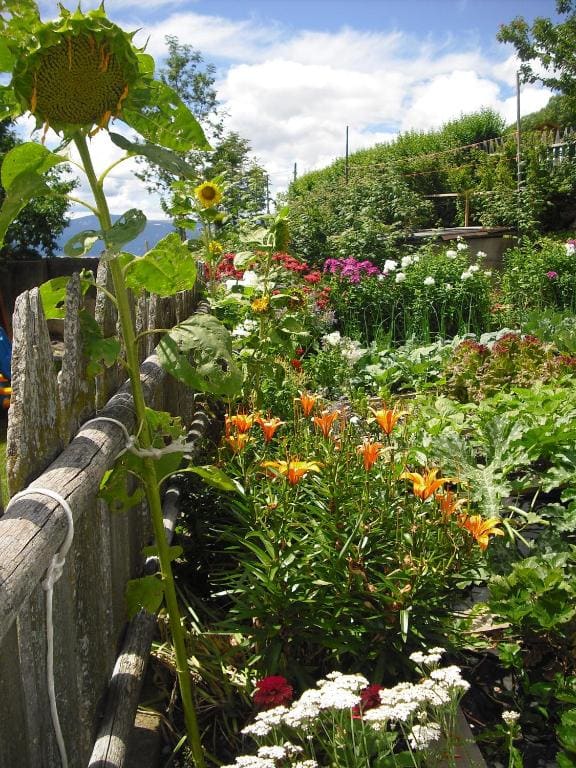 Pineiderhof - View 4